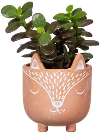 Sass & Belle Mini Woodland Fox Terracotta Planter, Brown - Image 3