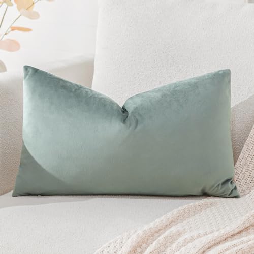 Artscope Luxury Velvet Cushion Covers Super Soft Decorative Rectangle Throw Pillow Covers Case Cushion Covers for Sofa Couch Bedroom Car Decor 40x60cm Light Gray