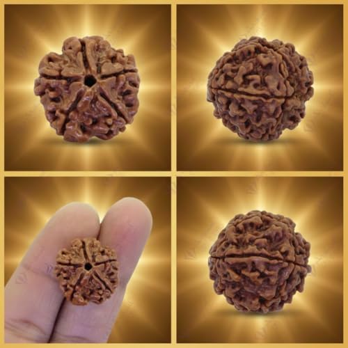 Image of Arihant Gems & Jewels 5 Mukhi /Faced Nepali Rudraksha | Natural & Certified | Astrological Five Mukhi /Faced Rudraksha | Positive Effect | Unisex Both for Men & Women.