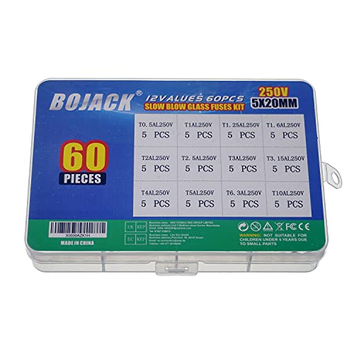 BOJACK 12 Werte 60 Stück trägen Glassicherungen 5x20mm Sicherung 250V Sicherungen T 0.5A 1A 1.25A 1.6A 2A 2.5A 3A 3.15A 4A 5A 6.3A 10A Verpackung in einer durchsichtigen Plastikbox