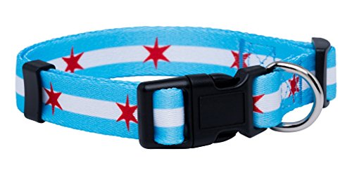 The Star Dog Collar 13 Native Pup Chicago Flag Dog Collar (Chicago Big Stars, Medium)