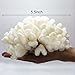 Tirifer Pack of 2 White Coral Decor, White Coral Reef, Faux Artificial Coral Statue, Resin Coral Sculpture Nautical Tabletop Decoration for Beach Theme Party Home Decor Wedding Decoration