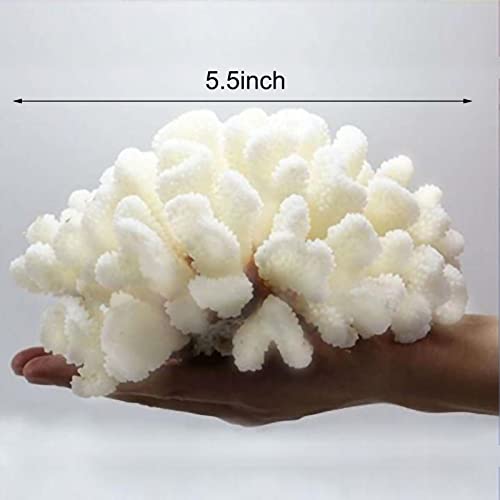Pack de 2 Corales Blancos Decorativos de Resina miniatura 5