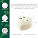 Belleek Kylemore Small Trinket Box - Handcrafted Decorative Storage - Porcelain Shamrock Irish Decor, 3.3 x 4.4 Inches, White