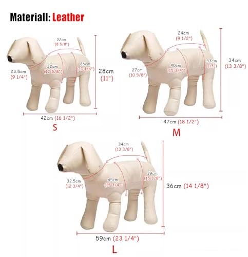 Torso de maniquí para mascotas ideal para escaparates y fotografía de moda 4