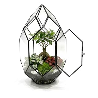 Lush Sphere PLUXEA kit terrarium à plantes 18 x 18 x 32 cm
