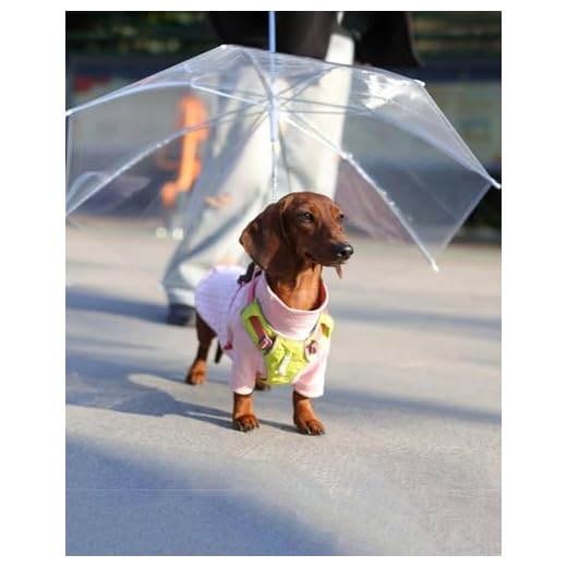 Transparent Dog Umbrella for Small Pets