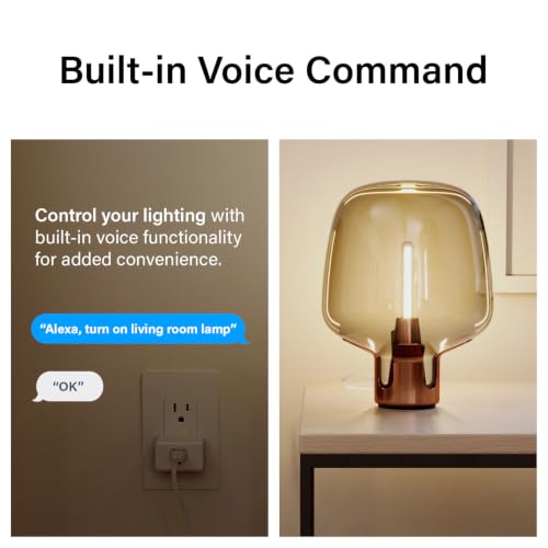 Image of Legrand Radiant Wi-Fi Matter Smart Plug Matter Hub Required 15A, Easy Setup, Enhanced Compatibility with Apple HomeKit, Google Home, Alexa & SmartThings, Easy Wi-Fi Connectivity w /Matter (1 Pack)