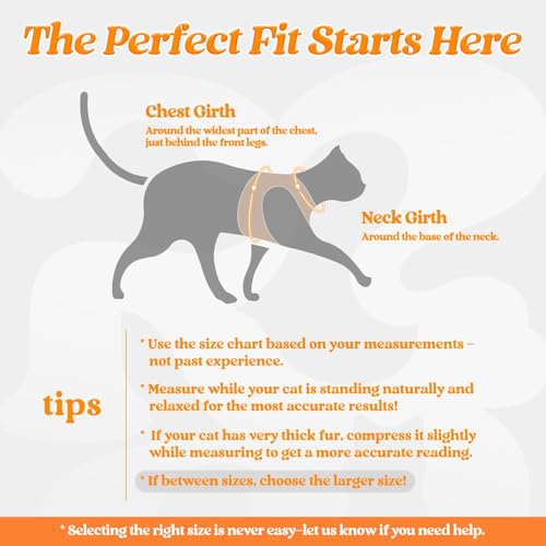 Image of rabbitgoo Cat Harness and Leash Set, Step-in Soft Vest, Orange