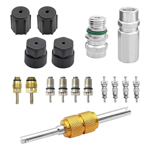 Kit de Válvulas de Núcleo para Aire Acondicionado 17PCS
