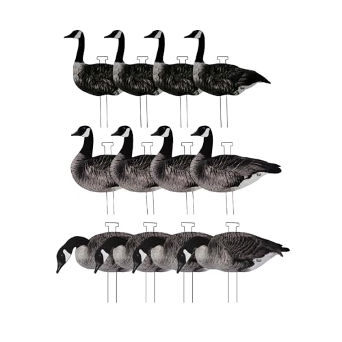 HuntEmUp Ultimate Flock-Stopper Silhouette Goose Decoys – 12 Pack Canada Goose Hunting Decoys with 3 Realistic Poses, Photorealistic Matte Finish, Lightweight, Durable & Glare-Free Design