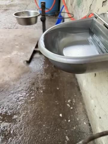 Drinktrog met vlotterventiel voor paarden en rundvee, watervolume