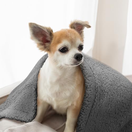 furrybaby Dog Blanket Soft Dog Blankets for Large Dogs Puppy Essentials Washable Sherpa Fleece Cat Blanket 32x40 Inches for Bed Furniture Couch Sofa (Medium, Grey)
