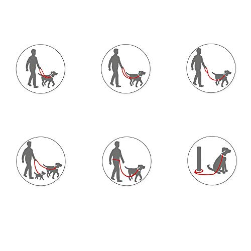 Guia Multifuncional Halti G