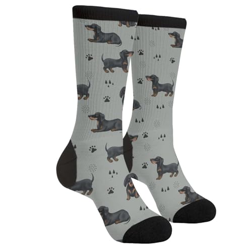 GJLNTRF Funny Dachshunds Dog Novelty Crew Socks Casual Crazy Funny Dress Socks For Women Men Teens Gift