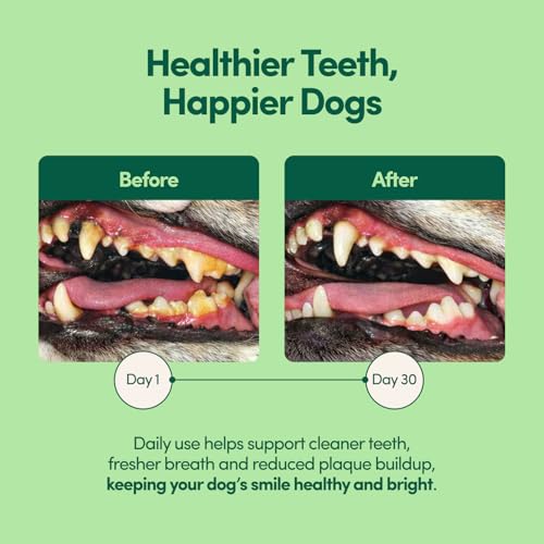 Image of Breath Buddy Dog Dental Powder for Teeth Cleaning - Cat & Dog Breath Freshener, Helps Remove Plaque & Tartar, Gentle Formula for Sensitive Stomachs, Natural Ingredients, USA Made