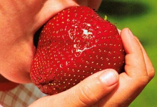 Giant Strawberry, 50 Seeds