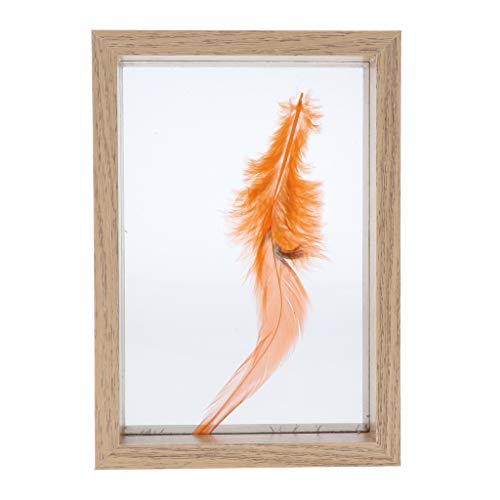 Preisvergleich Produktbild Hellery Pflanzenprobenrahmen Standard Für DIY Geschenk Desktop Ornament Souvenir, Arbeitszimmer Dekor - Burlywood 11x16x4cm, wie beschrieben