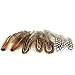 Coceca 300pcs Assorted Chicken Feathers for Various Crafts, Birthday Parties, Wedding and Party Dress-ups