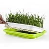 Milisten Microgreens Tray Bean Sprouts Germination Plate Sprouter Tray Hydroponic Sprout Basin Succulent Propagation Garden Hydroponic Nursery Pot Veggie Plant Germination Pot Plastic #3