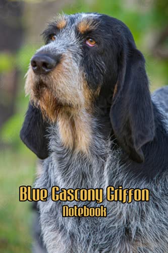  Blue Gascony Griffon Notebook: Notebook Journal Diary/ Lined - Size 6x9 Inches 100 Pages