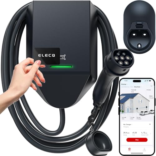 ECO-WORTHY 12 Volt 10 Watt Solar Auto Batterij Oplader & Onderhouder, Zonnepaneel Druppellader, Draagbare Power Backup Kit met Krokodillenklem Adapter voor Auto, Boot, Automotive, Motor, RV