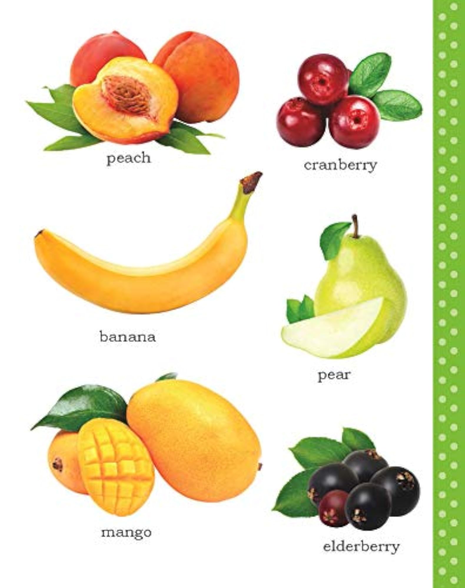 My First Picture Book of Fruits