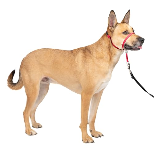 PetSafe Gentle Leader Headcollar No-Pull Dog Collar - Helps Improve Walks - Durable Nylon Construction - Padded Nose Loop - Adjustable Fit - Comfort Walking Halter - Medium, Red