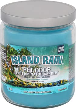 13oz Candle, Island Rain Limited Edition