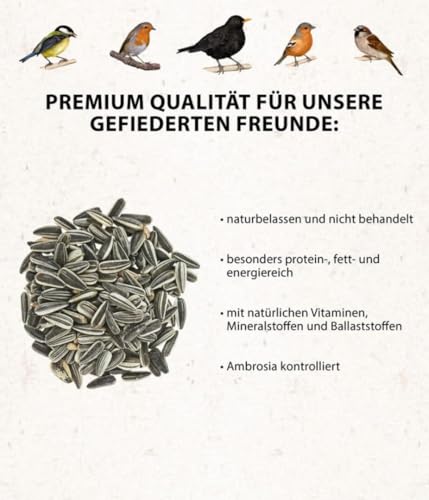 Dehner Natura Premium Wildvogelfutter, Sonnenblumenkerne, Ganzjahresfutter proteinreich / energiereich, hochwertiges Vogelfutter für Wildvögel, im Set, 4 x 2.5 kg (10 kg)