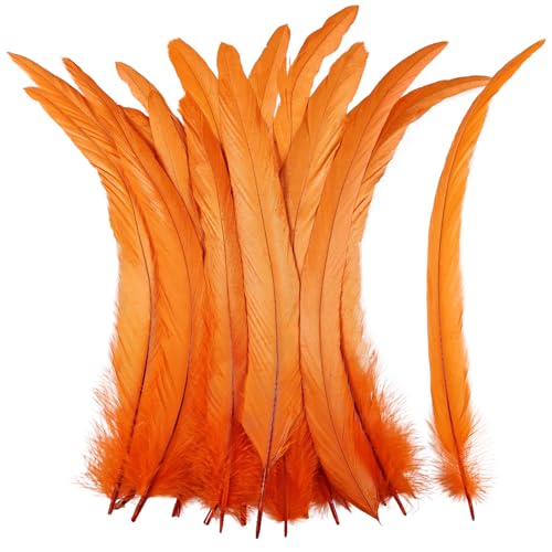 iHUFeather Natural Rooster Tail Feathers 50pcs 10-12inch Long Rooster Coque Tail Feathers Bulk for DIY Crafts Costume and Party Performances Decoration(Orange)