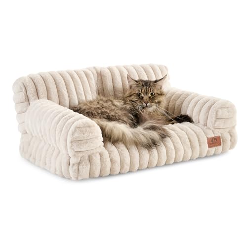 Hollypet ӂӂ ʂ ybg L JE` \tg  ybg \t@xbh ~fBA ^ L p N[