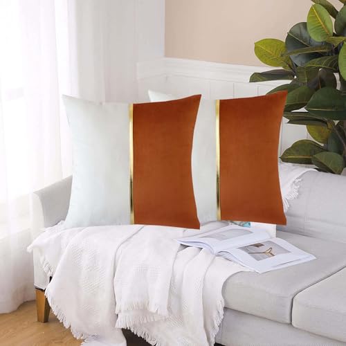 Image of HIMS Velvet Sofa Pillow Cover Set of 2, Luxury Cushion Cover 12 inch x 12 inch for Decorative Living Room Sofa Bedroom Car (12x12 Inch, Brown)