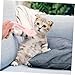 GANAZONO Cat Feeders for Indoor Cats Reusable Food Scooper Pet Accessory Pet Food Lids