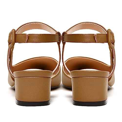 NUMALEO Womens Matte Party Ankle Strap Buckle Style Pointed Toe Fashion Chunky Low Heel Pumps Shoes 1.5 Inch4