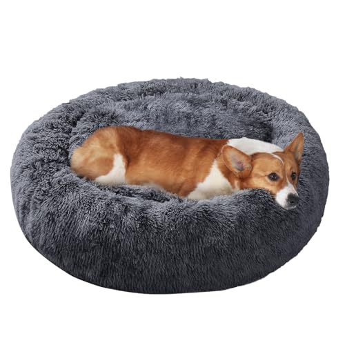Image of JOLLYVOGUE Dog Bed, Calming Anti-Anxiety Large Dog Bed, Fluffy Donut Cushion for Medium and Large Pets (27 inch /30 inch /36 inch)