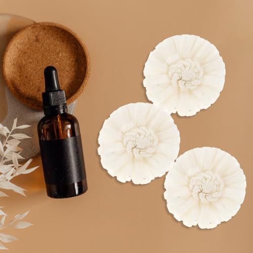 Difusor de flores secas natural 4 piezas para aceites esenciales miniatura 6