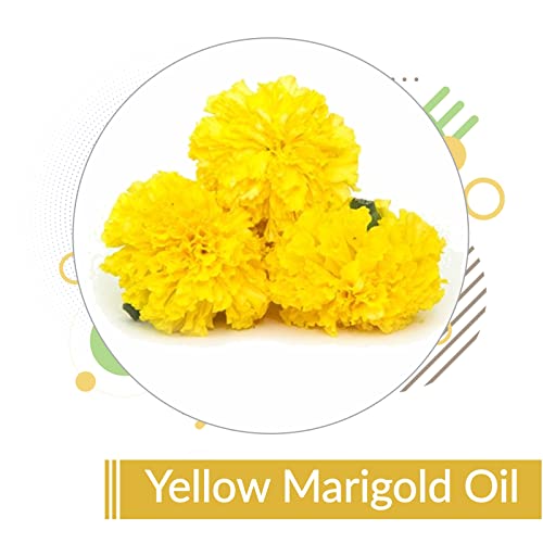 Image of B-Urban Yellow Marigold Oil 30 ml (1.01 fl oz) - Cold Pressed Tagetes Carrier Oil for Skin Care Formulations, Soothing Blends & DIY Cosmetic Preparations