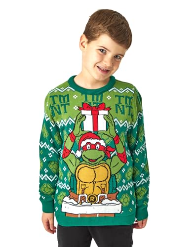 Teenage Mutant Ninja Turtles Boys Christmas Jumper | Green Raphael Graphic Knitted Sweater | Xmas Pullover Knitwear Gift