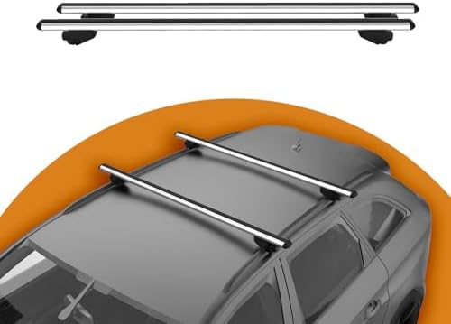 Barre Portatutto Sandero Stepway in Soluzioni per il Trasporto