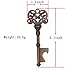 DerBlue 60 PCS Key Bottle Openers,Vintage Skeleton Key Bottle Opener,Skeleton Key Bottle Openers Wedding Favors Antique Rustic Decoration with Escort Tag Card (Copper)