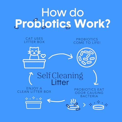 Boxie Probiotic Cat Litter, 40 Day Odor Control, Clumping Clay Kitty Litter, Odor Eliminating Probiotics, Dust-Free, No Fragrances No Fillers, 16 lb