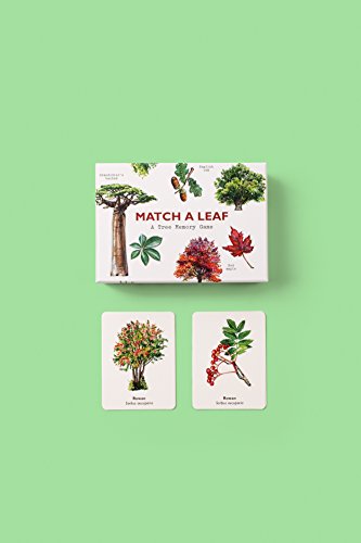 Match a Leaf: A Tree Memory Game - Image 2