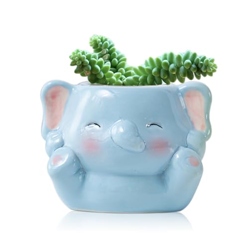 DIYOMR Cute Animals Planter, Mini Ceramic Cartoon Animal Shaped Succulent Flower Pot Indoor Air Plants Holder, Smooth Shiny Decorative Flower Cactus Planter - Plants Not Included (Baby Elephant)