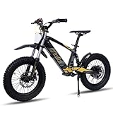 KOZRUNS Electric Dirt Bike for Kids 8-12, 350W Peak Brushless Motor, Up to 15.5MPH, 3 Speed Settings, 16-Inch Off-Road Tires, Dual Disc Brakes & Premium Suspension,Black