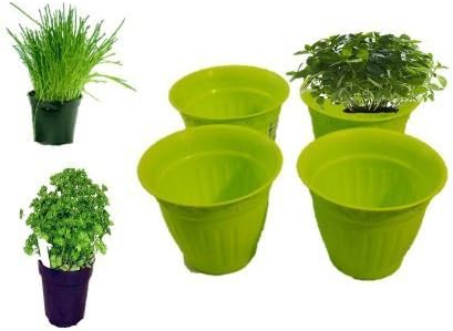 Kräutertopf Blumentopf Pflanzentopf für Kräuter und Blumen von Conny Clever® das