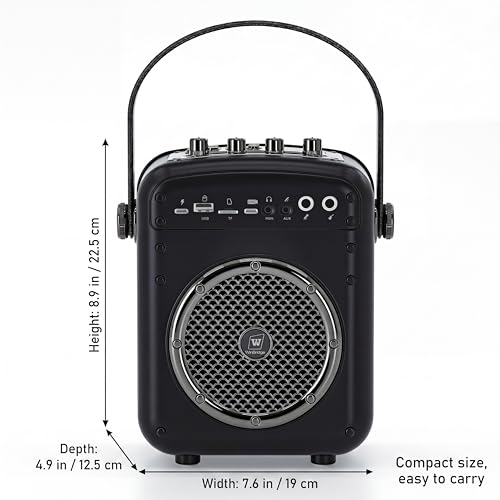 Amplificateur de voix Bluetooth 5.3 multi-usage guitare et karaoké