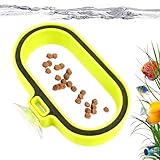 Alimentador para Acuario, Contenedor De Comida con Diseño En, Alimentador Automático para Acuario, para Acuarios de Agua Dulce y Salada, Tanques de Interior y Exterior, Hogares Familiares