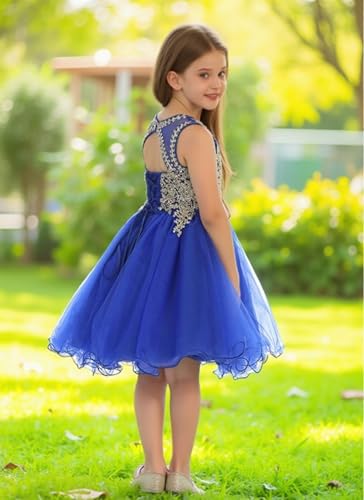 Tulle Flower Girl Dresses for Wedding Lace Beaded Princess Pageant Dress Sleeveless Birthday Party Gown4