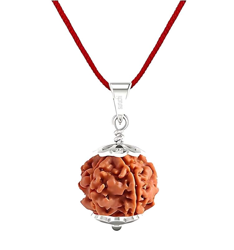 Pure 925 Silver Rudraksha Pendant 1/2/3/4/5/6/7/8/9/10/11/Ganesh/Gaurishankar mukhi Astrological Original Nepali BIS Hallmark Sterling Silver Cap Pendant Natural & Certified for Men & Women-image-43